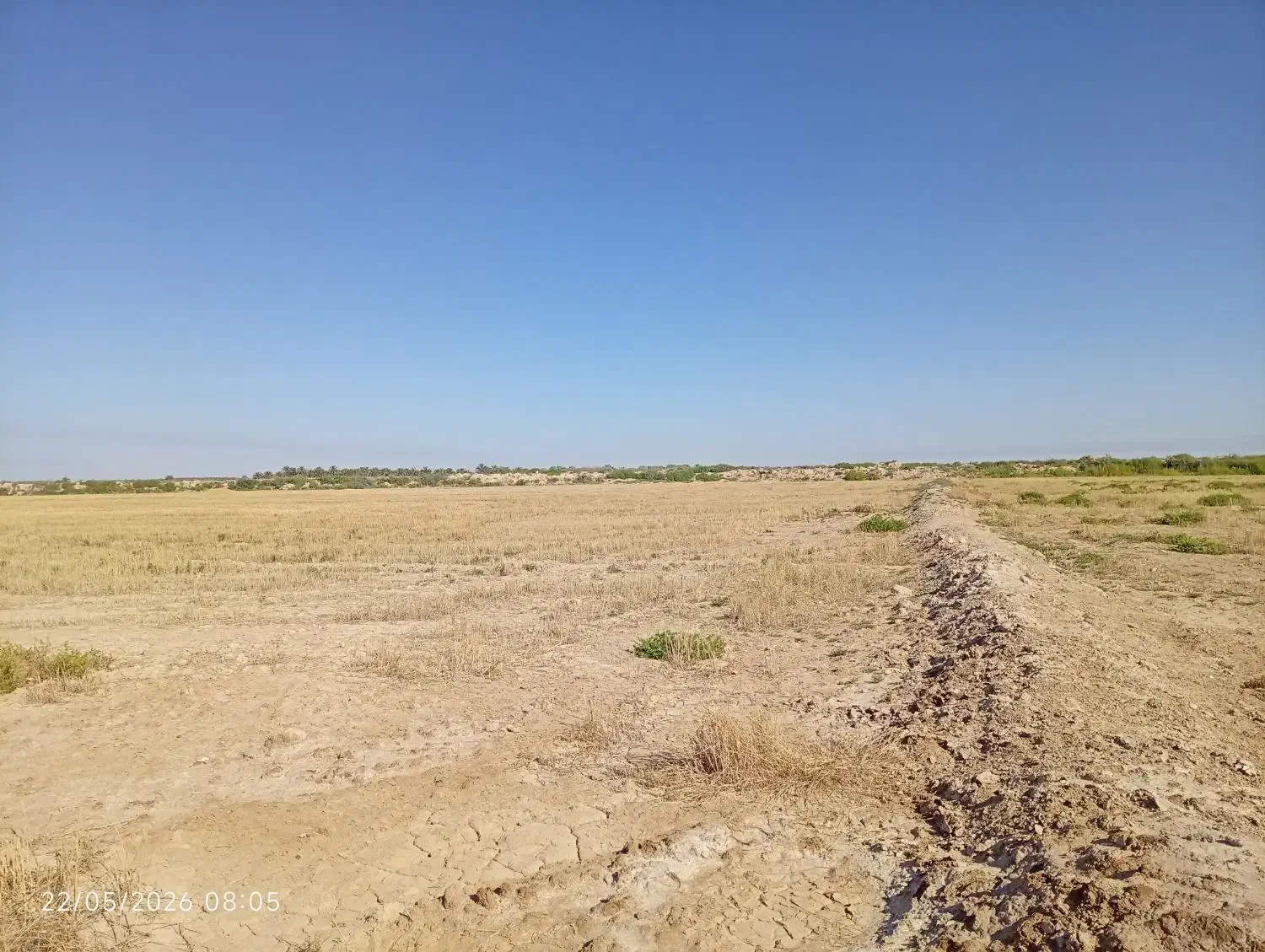 زمین زراعی برای فروش