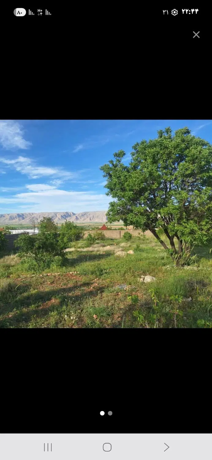 زمین باغ شهری  سپیدان