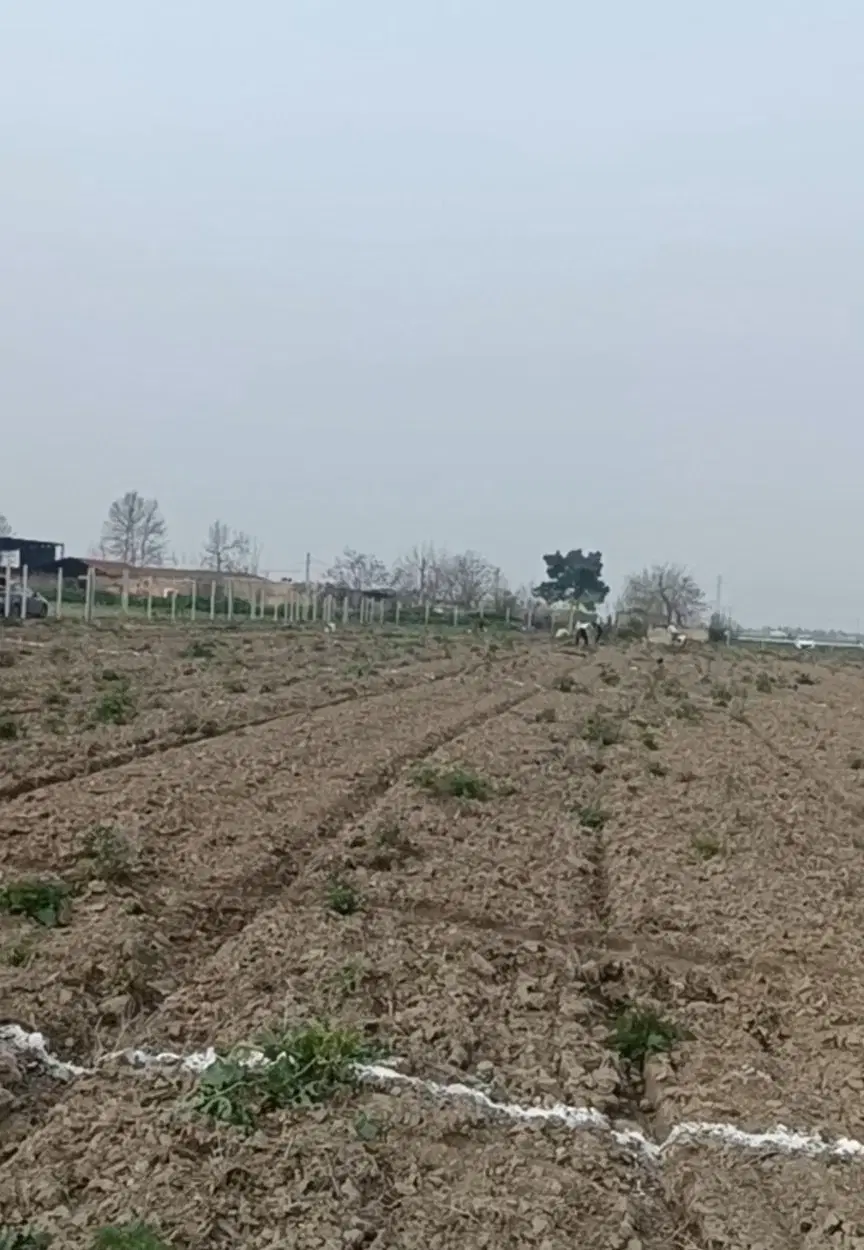 ۱۰۰۰متر باغ روبروی موجهای ابی