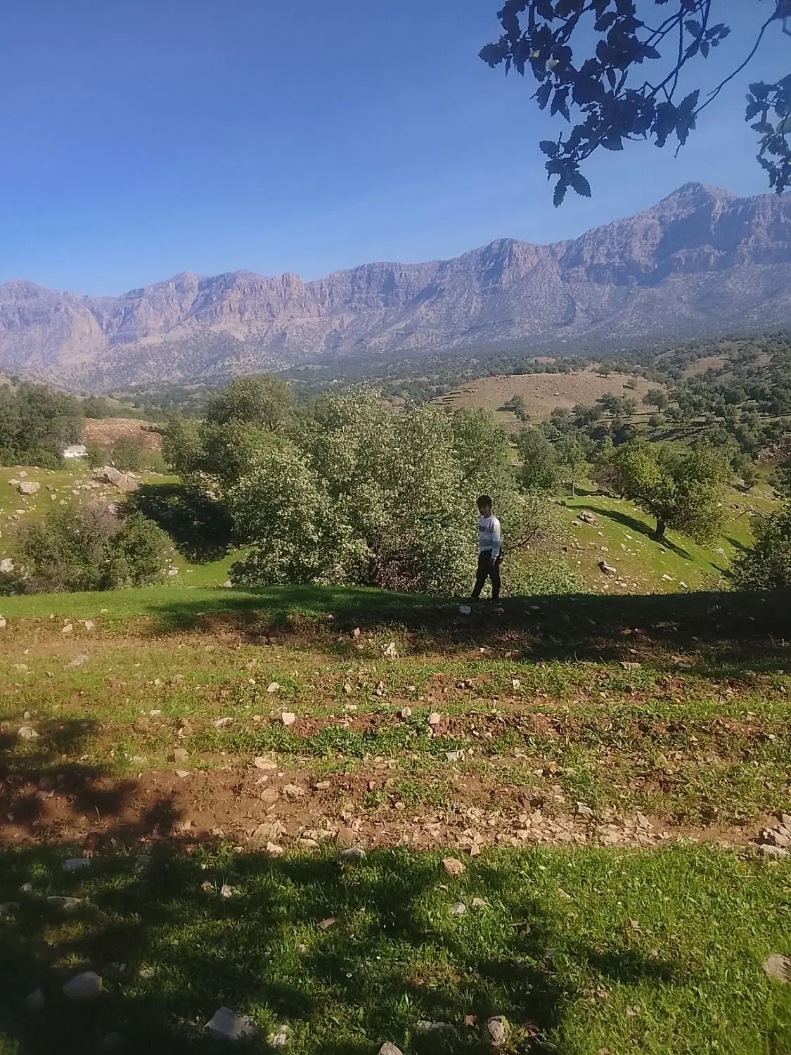 یک قطعه زمین