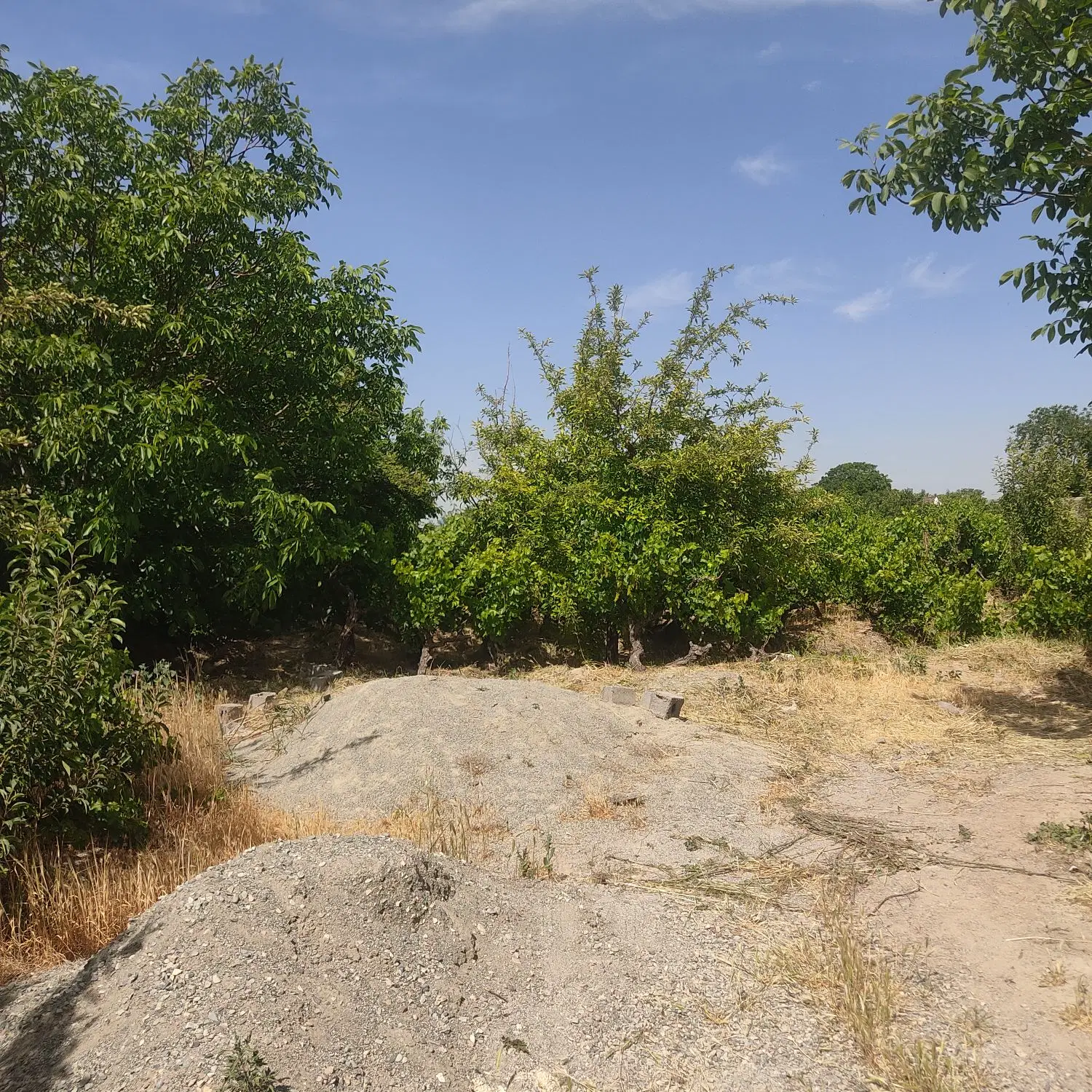 باغ باغچه ۳۵۰متری دارای سند اب