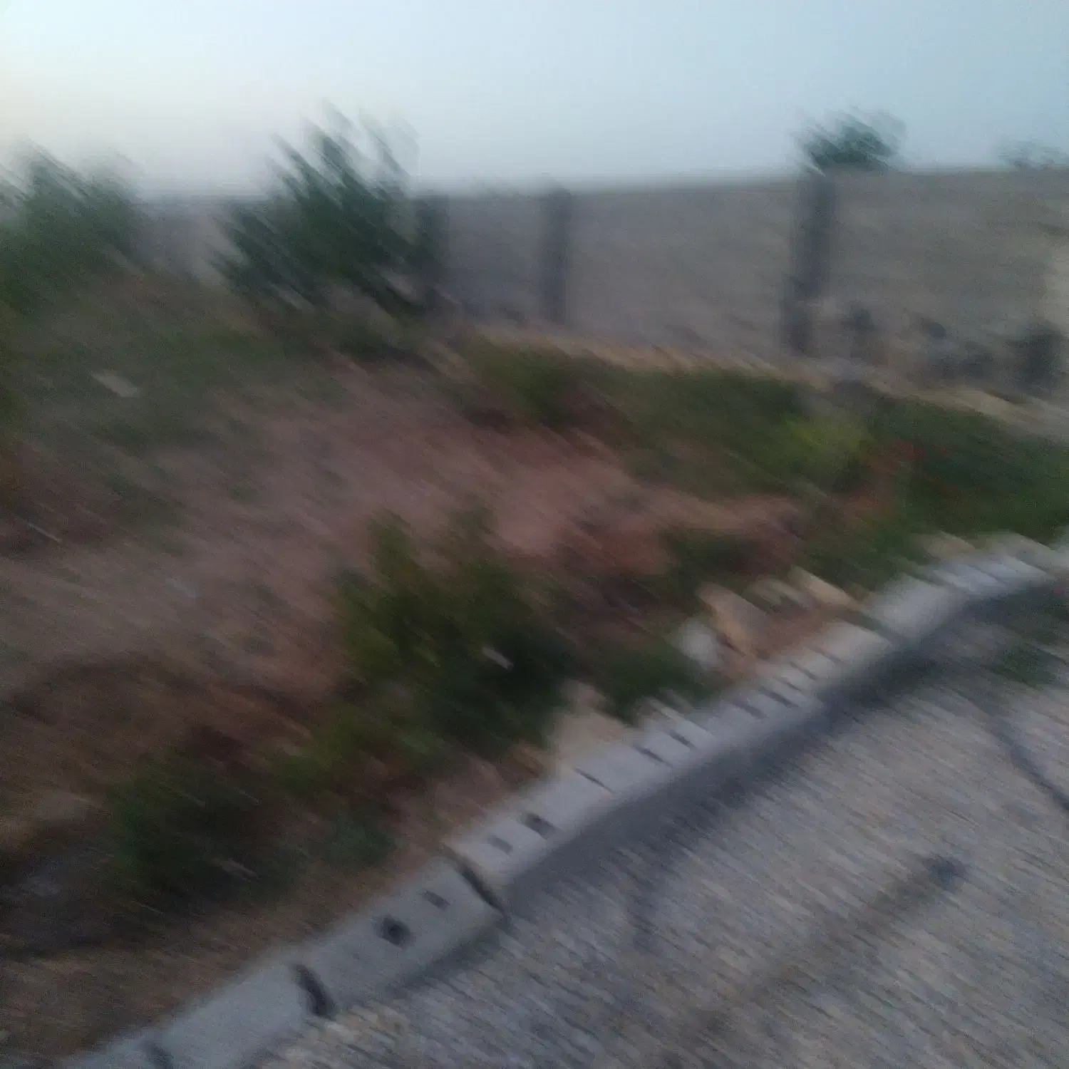 باغ چهار دیواری