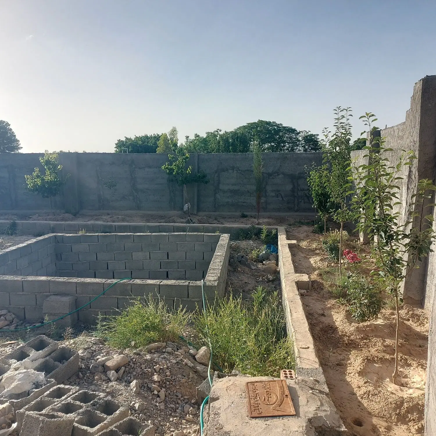 باغ ماهان