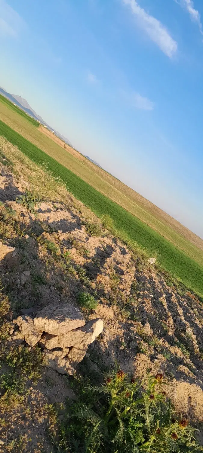 زمین ویلایی رشتقون