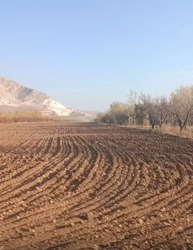 ۱۵۹هکتار زمین کشاورزی ۱۲ اینچ اب چاه شخصی