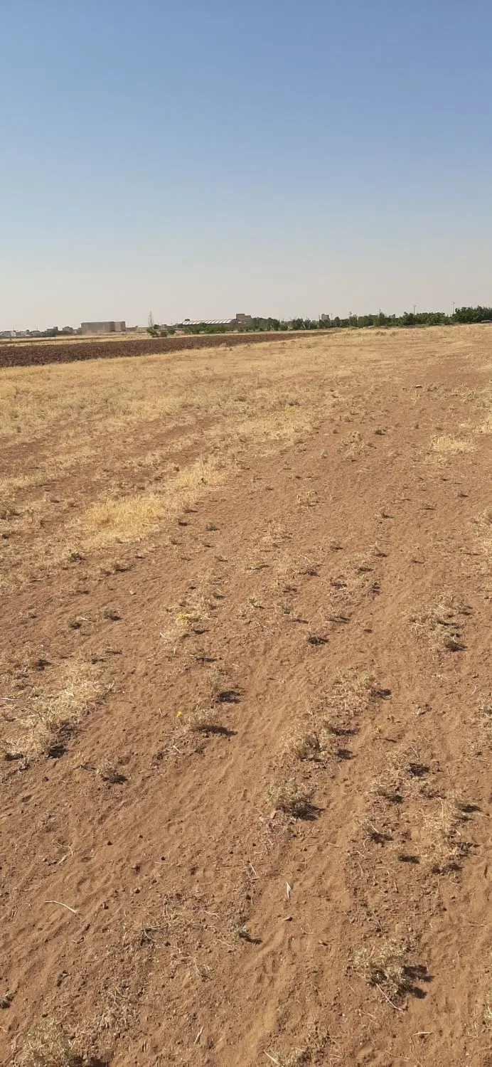 زمین کشاورزی جاده نصرت آباد به حسن آباد
