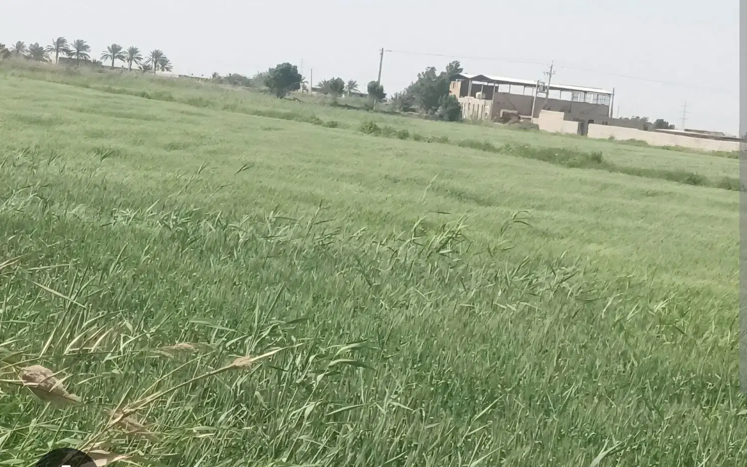 .زمین