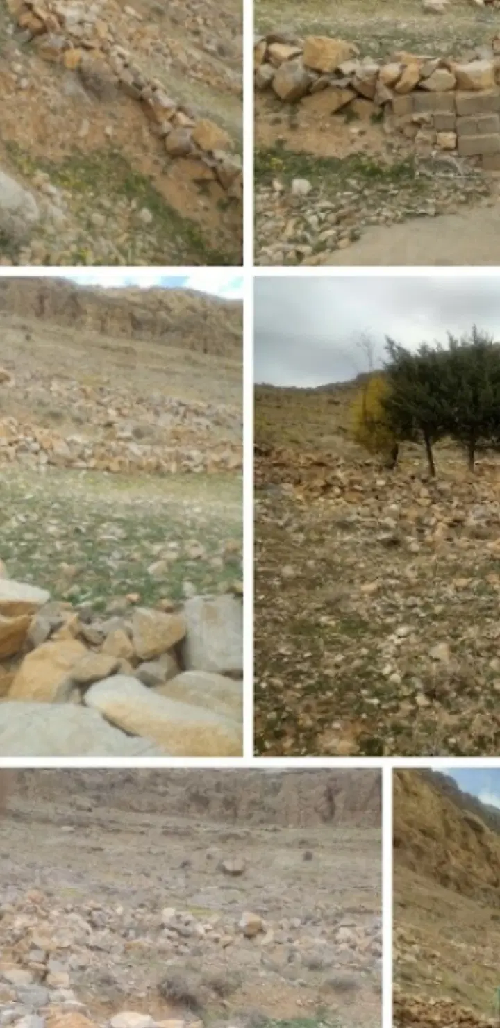 فروش زمین قبر