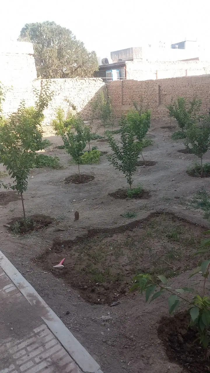 خانه باغ