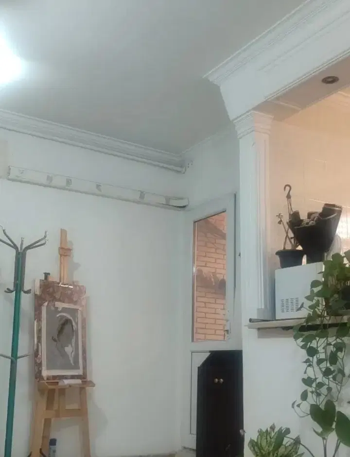 هم خونه خانم مجرد