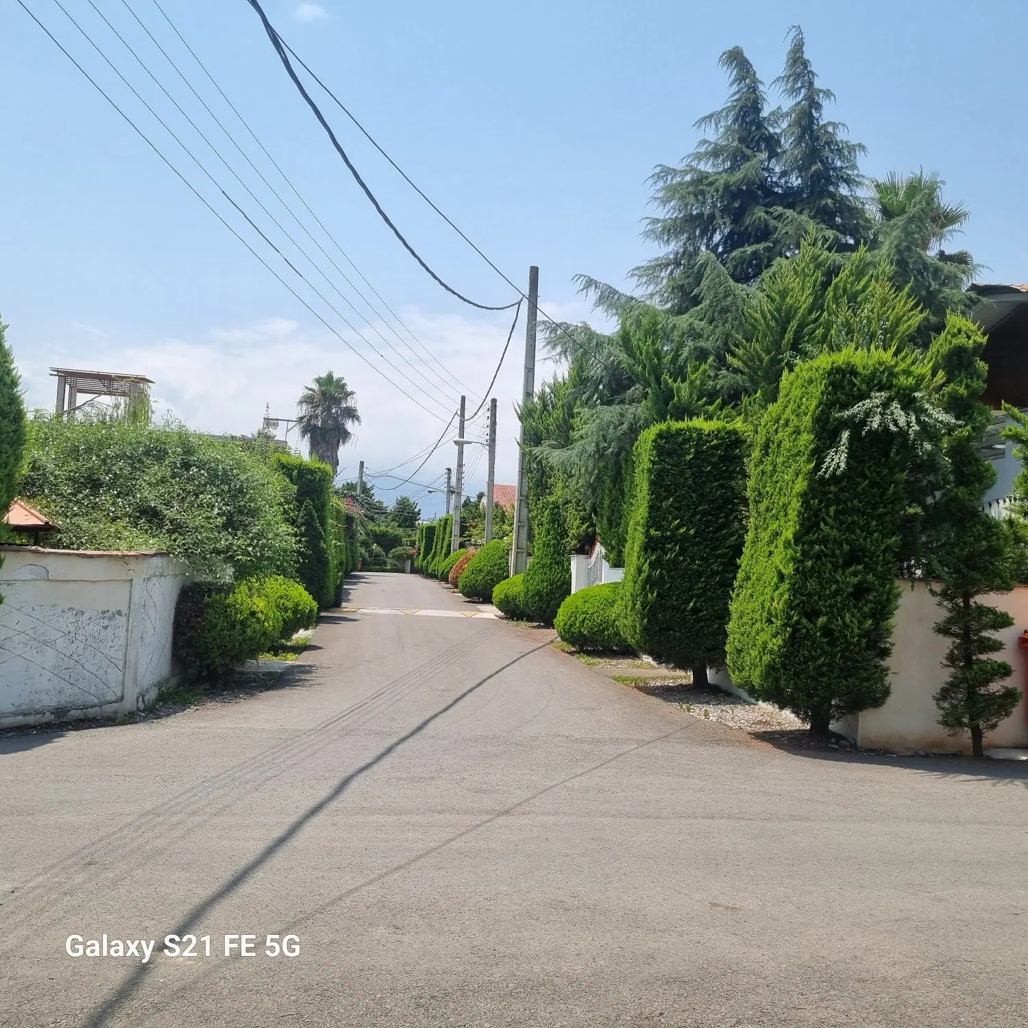 ۲۵۰ متر زمین دو بر سند تک برگ