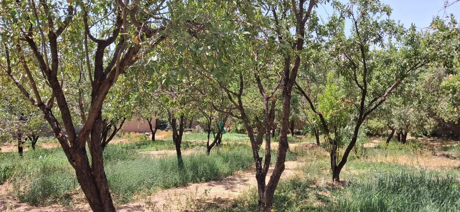 باغ ویلای کهک ساوه