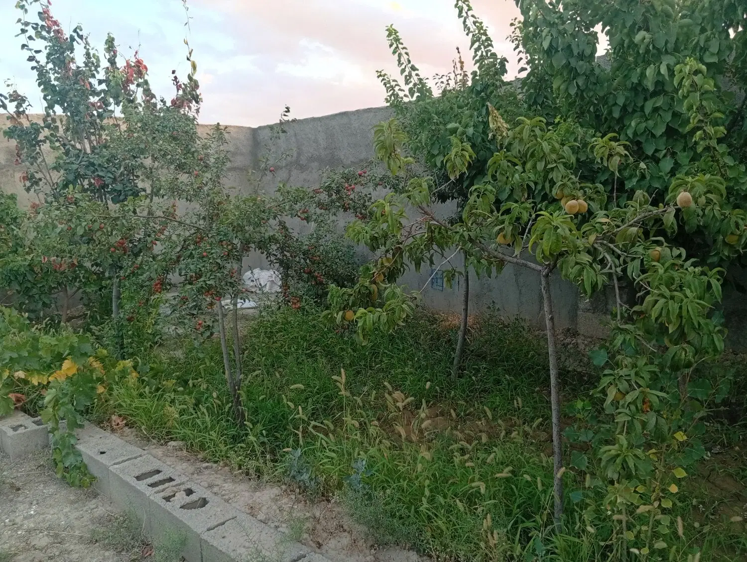 ف ر و ش اجاره باغ موقعیت مناسب
