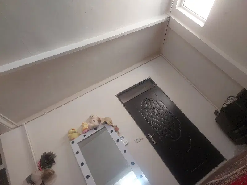 همخونه خانم