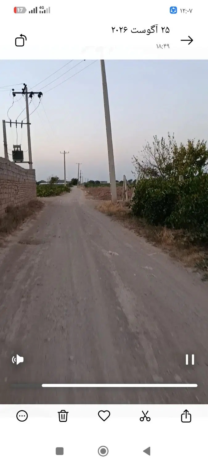 فروش باغ انگور دوساله تاکستان