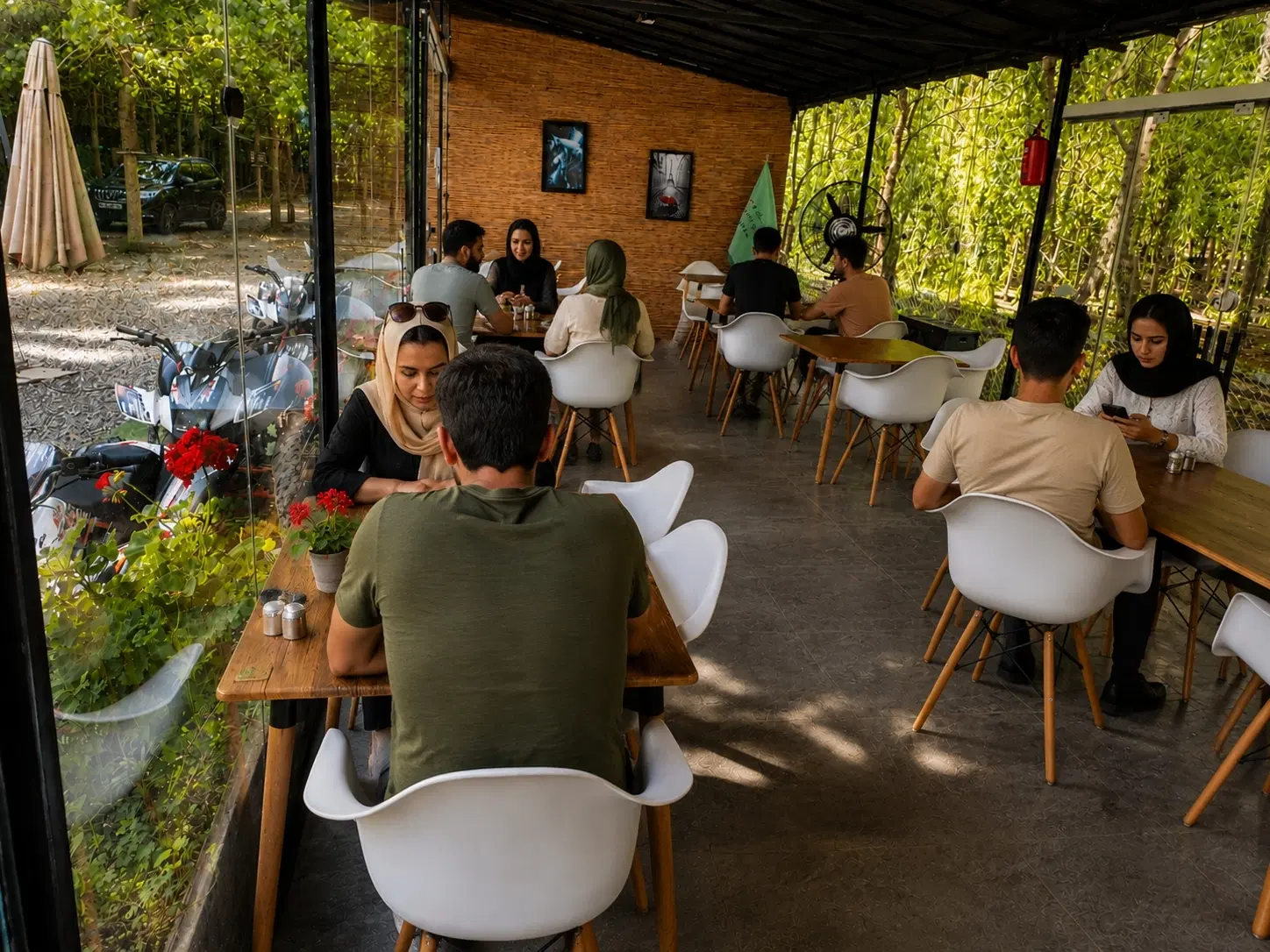 جنگل را برای زندگی انتخاب کن