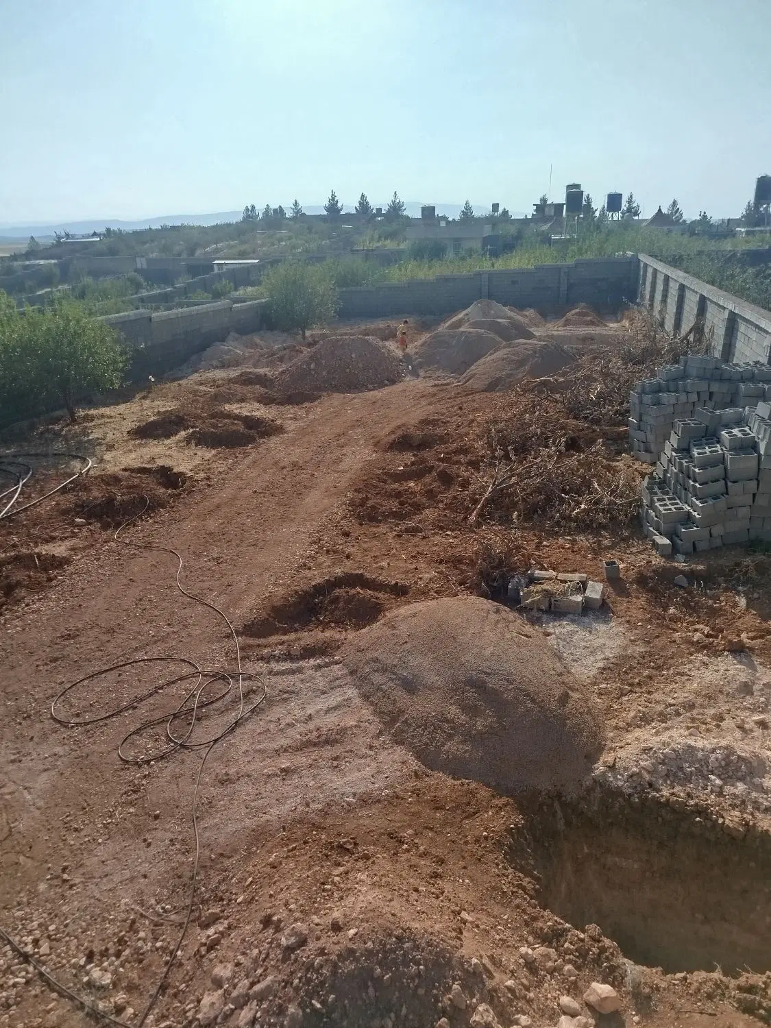 باغ شهری مور سوسنی کودیان