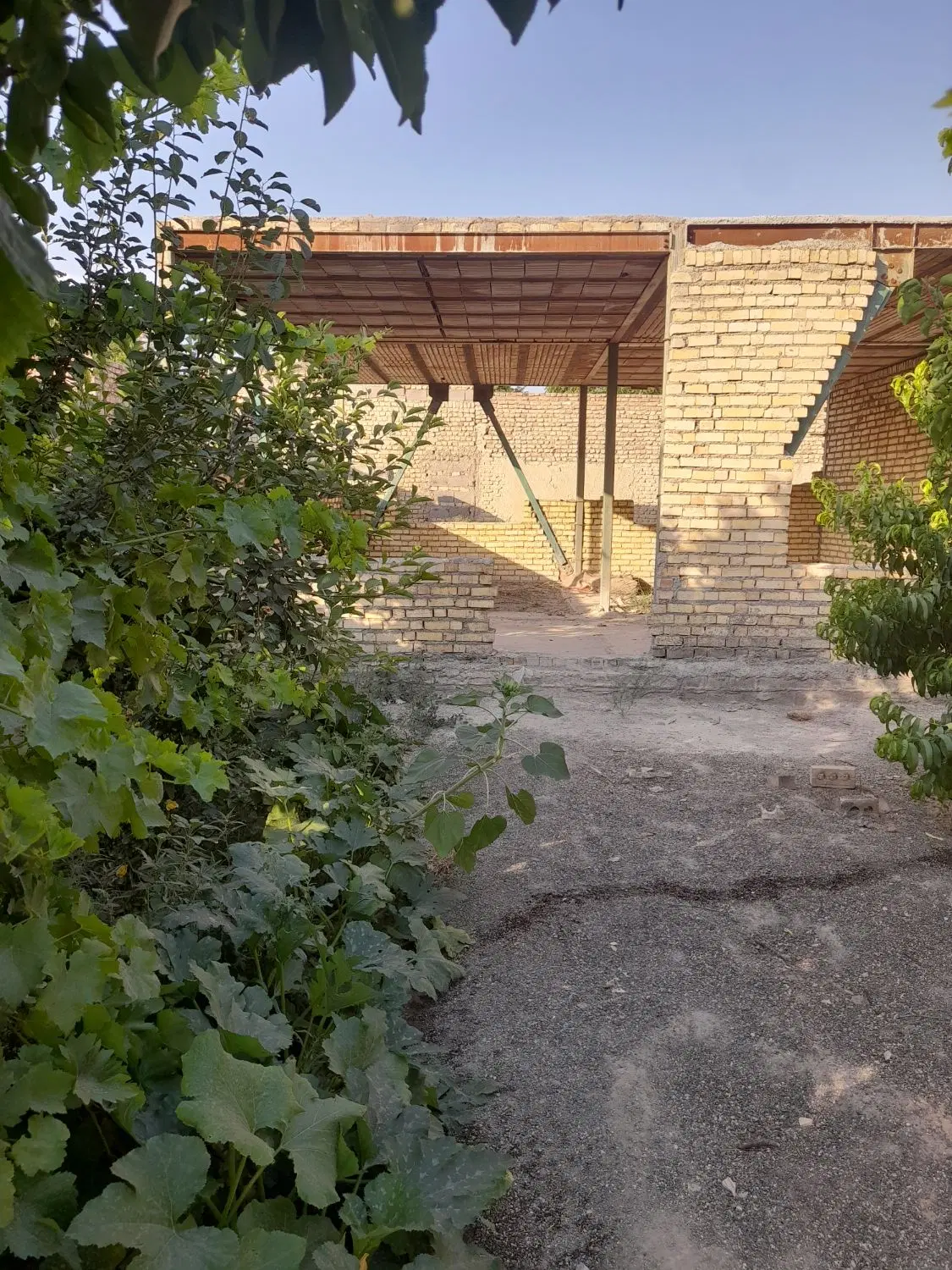 باغ