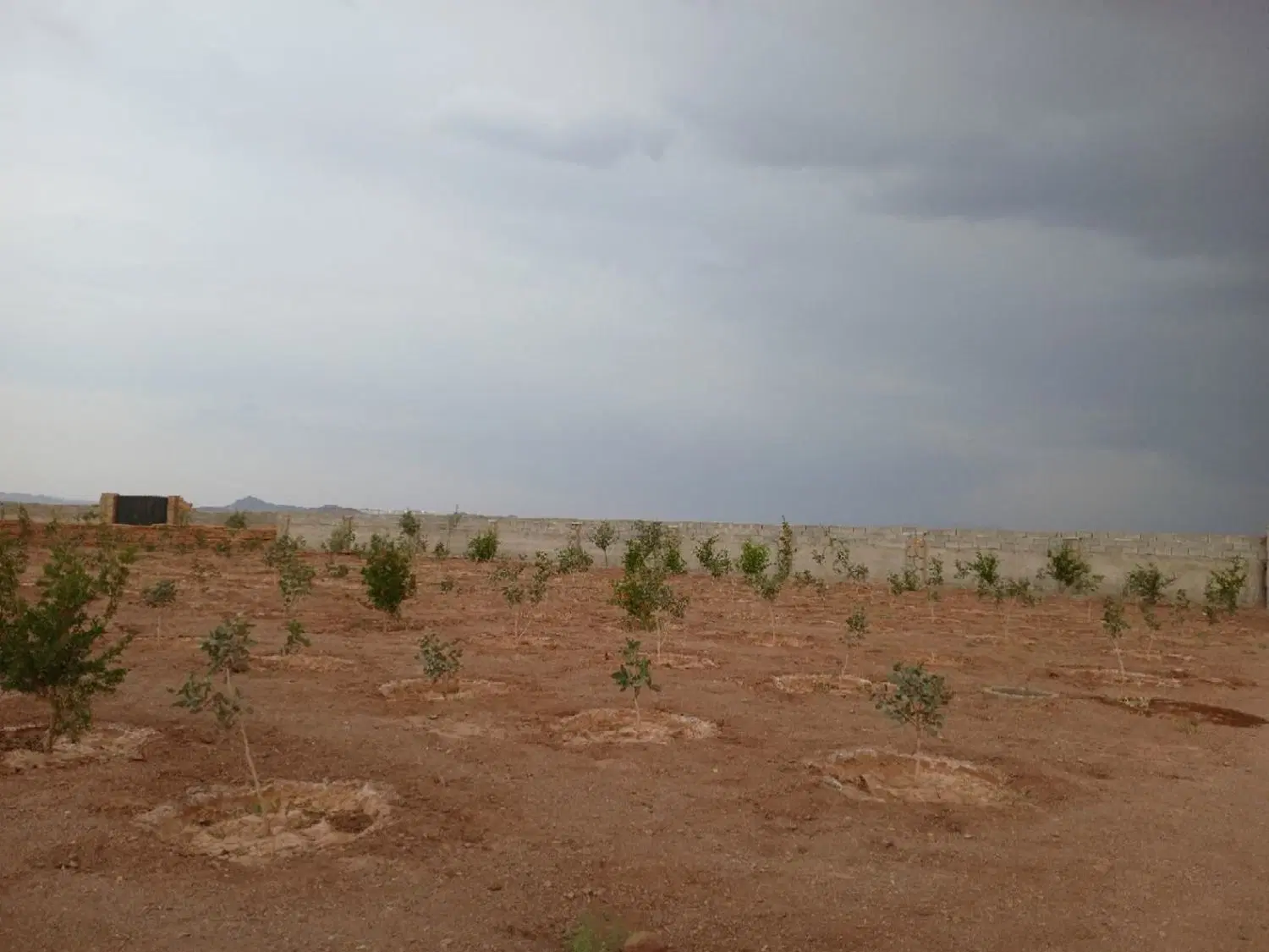 باغچه
