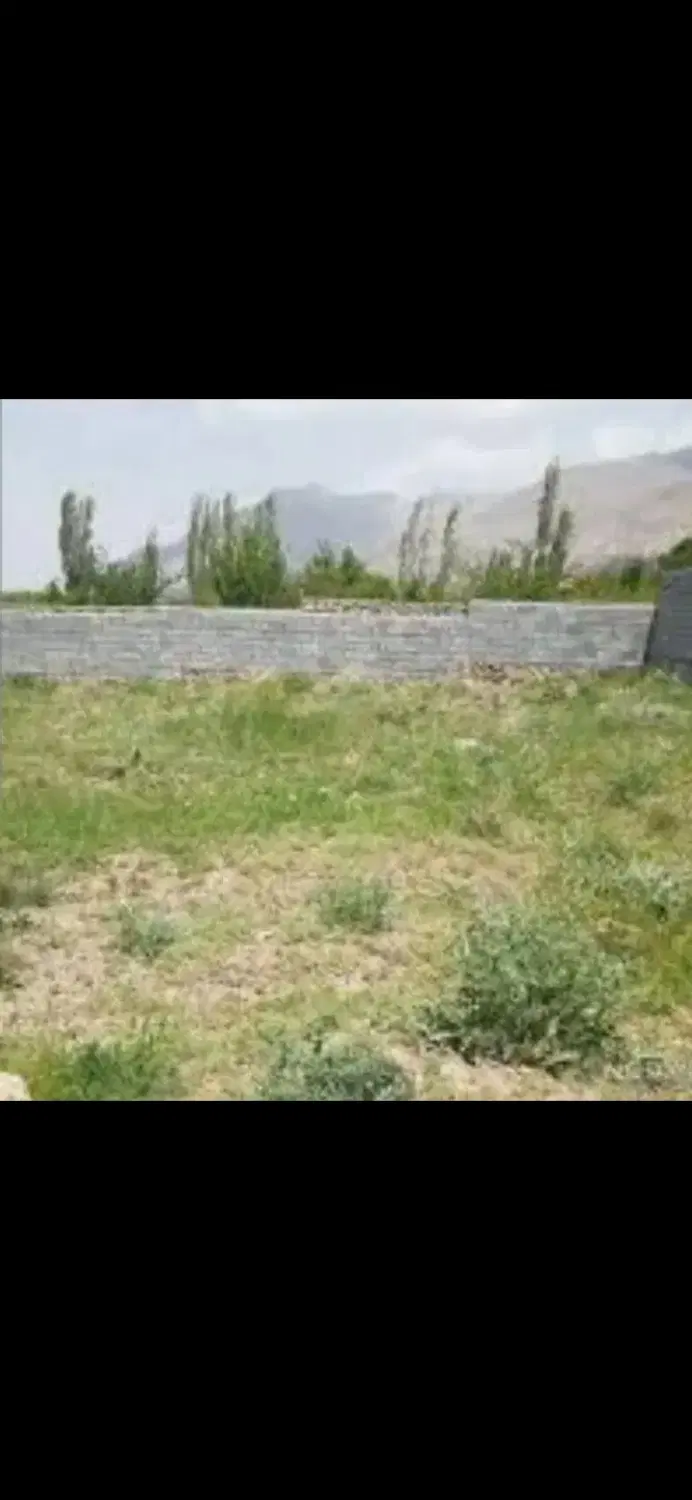 زمین