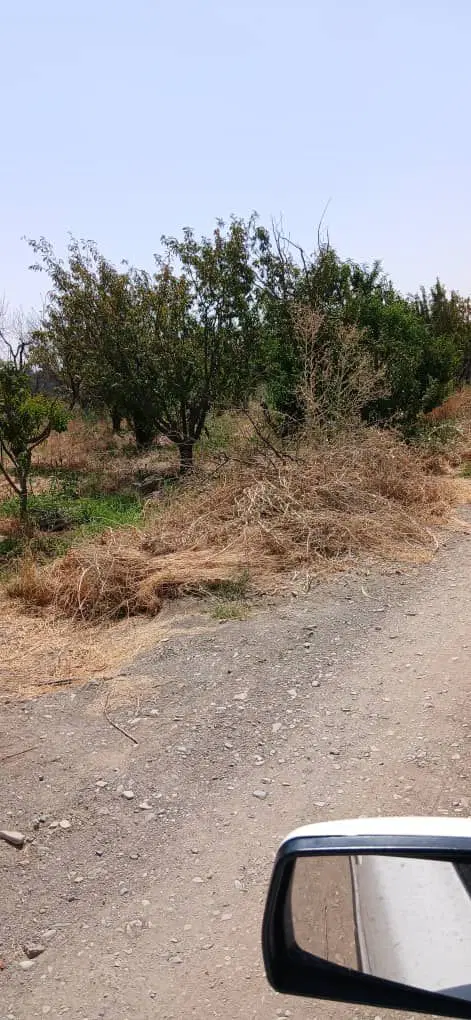 زمین شهرکی ۴۲۰ تنکمان باغ کمال