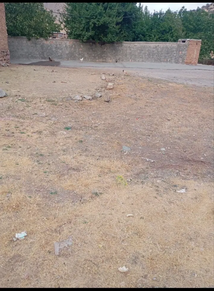 زمین مسکونی