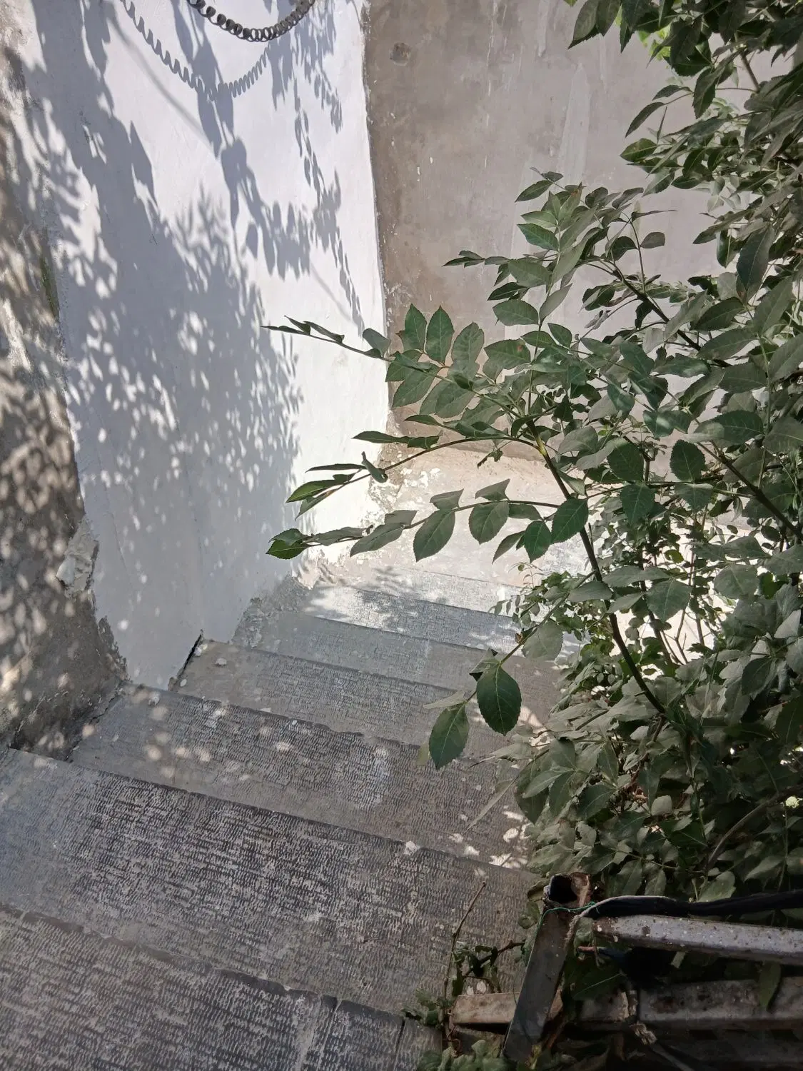 دربست فوتبال