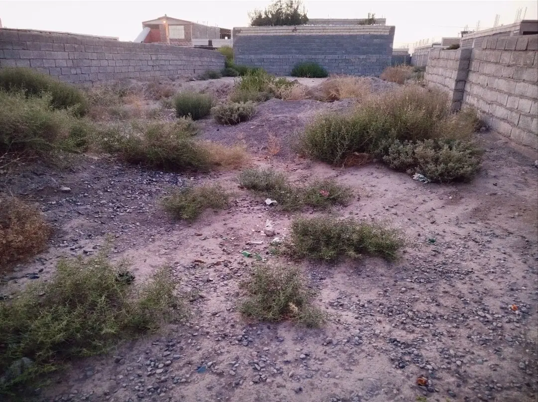 فروش زمین ۲۵۰متر
