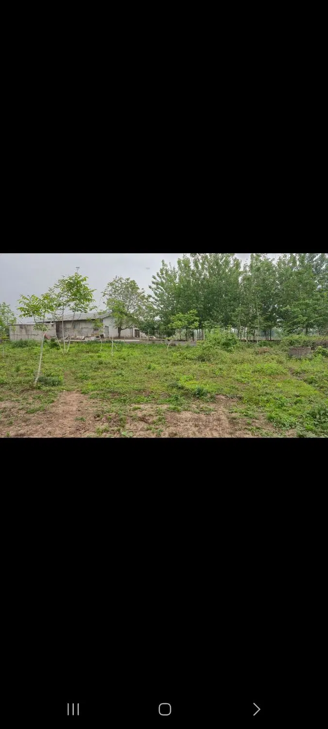 زمین باغی