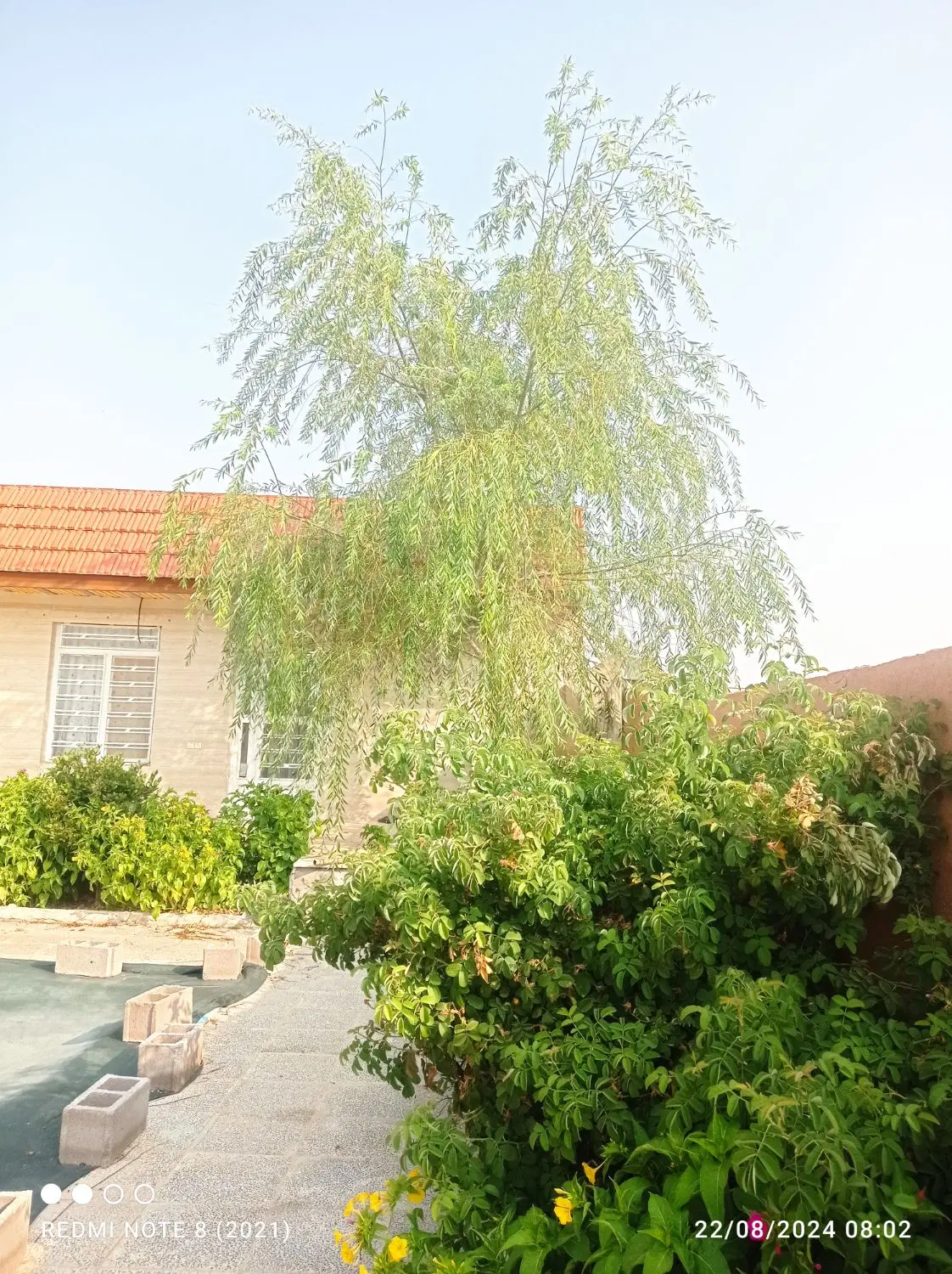 فروش فوری باغ روستای آب پرده