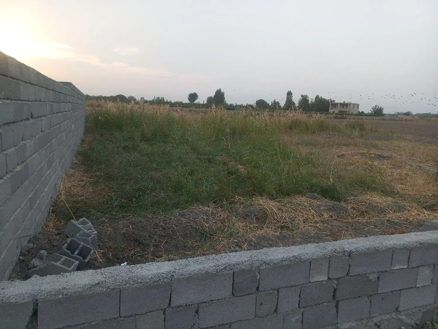 ۴۵۰مترزمین زراعی بااب برق شناورنزدیک اسفالت اصلی