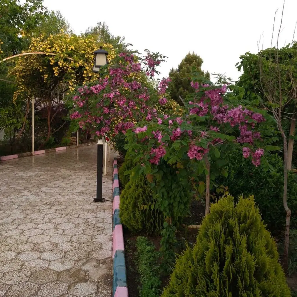 رهن واجاره باغ