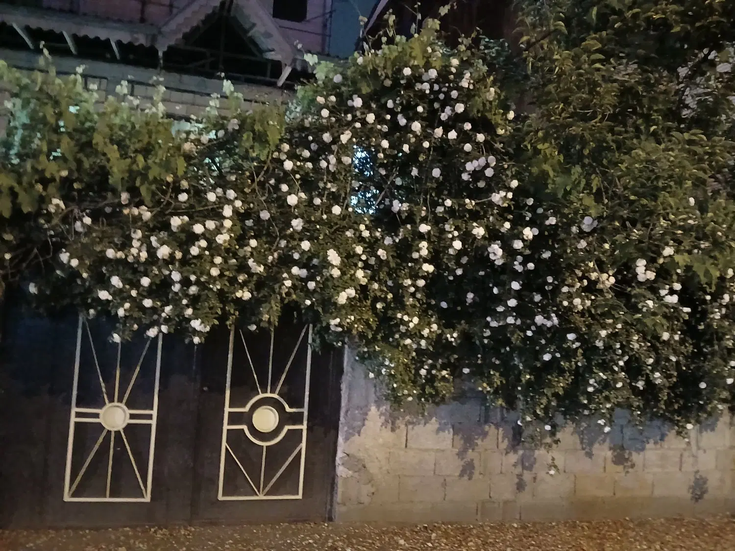 خامه ویلایی مسکونی سند دار