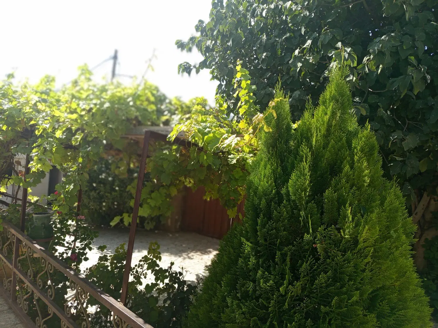 خانه