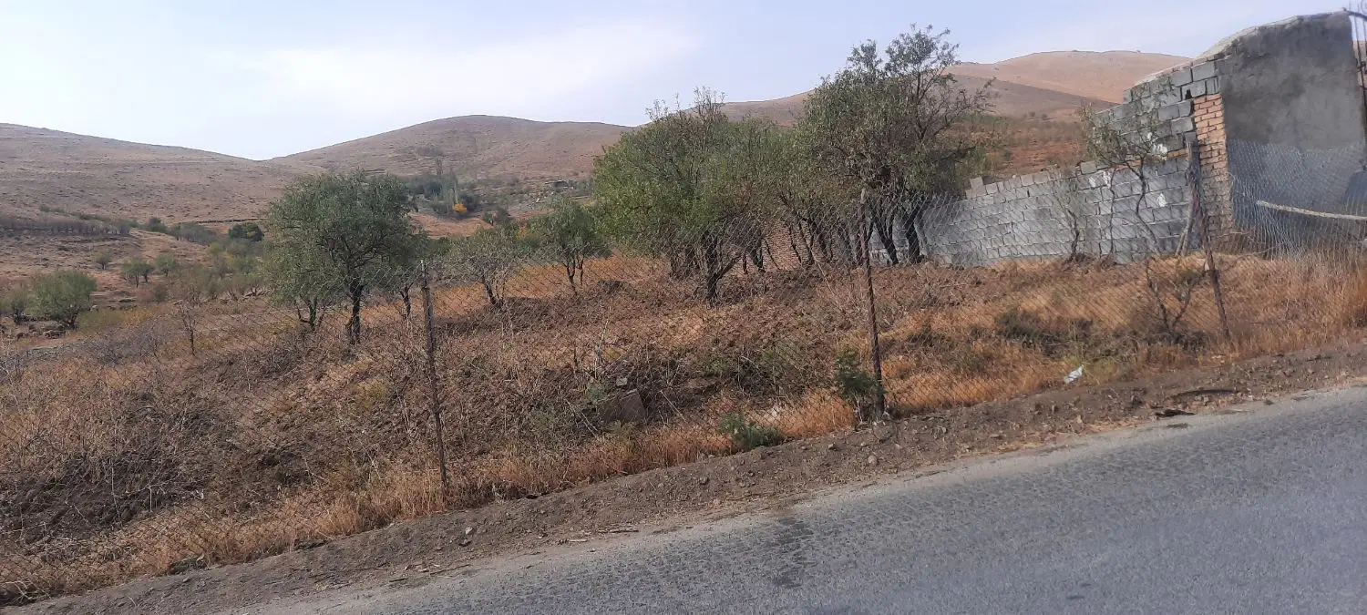 زمین باغی در روستای خاکو