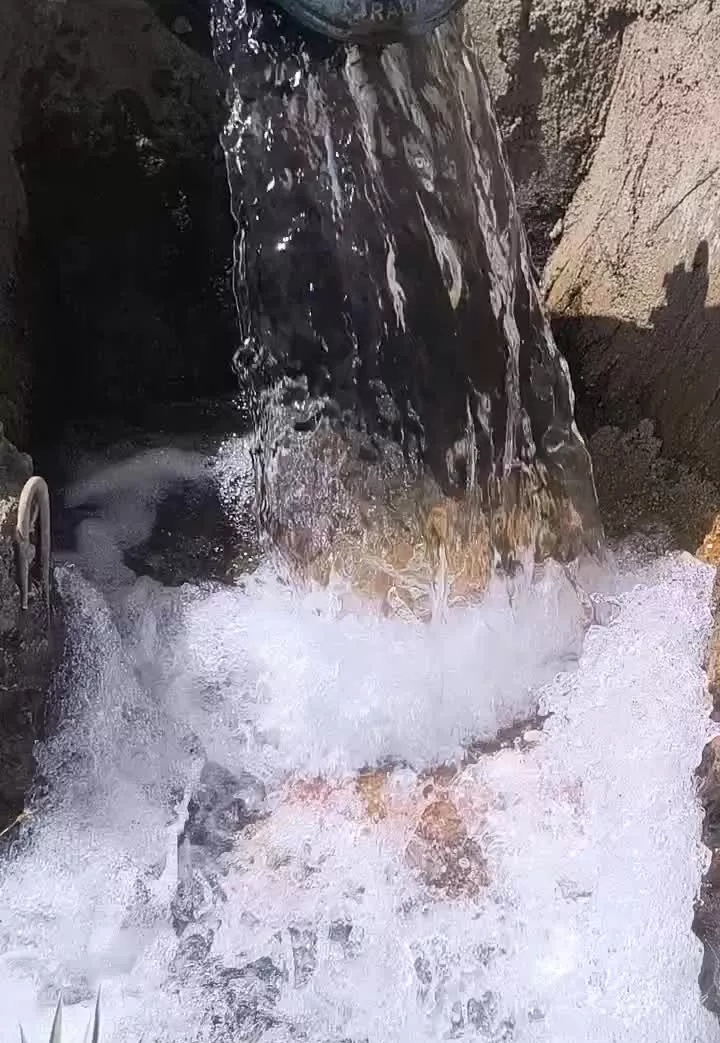 فروش فوق‌العاده زمین باغ
