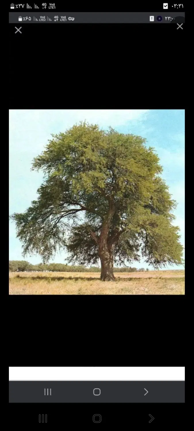 زمین فتح آباد یا چهار خری