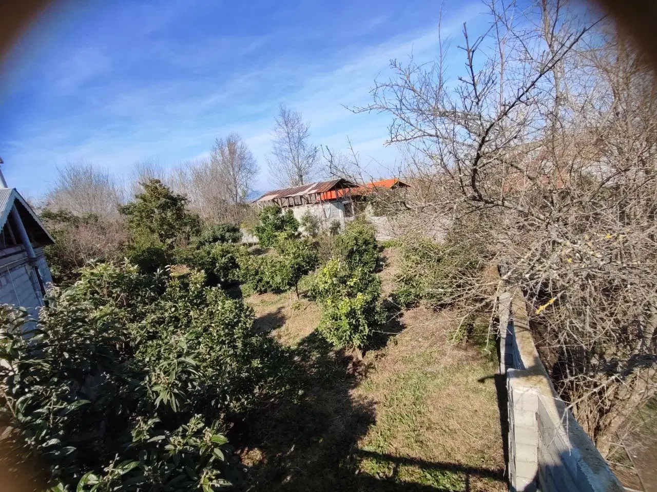 زمین باغ مسکونی