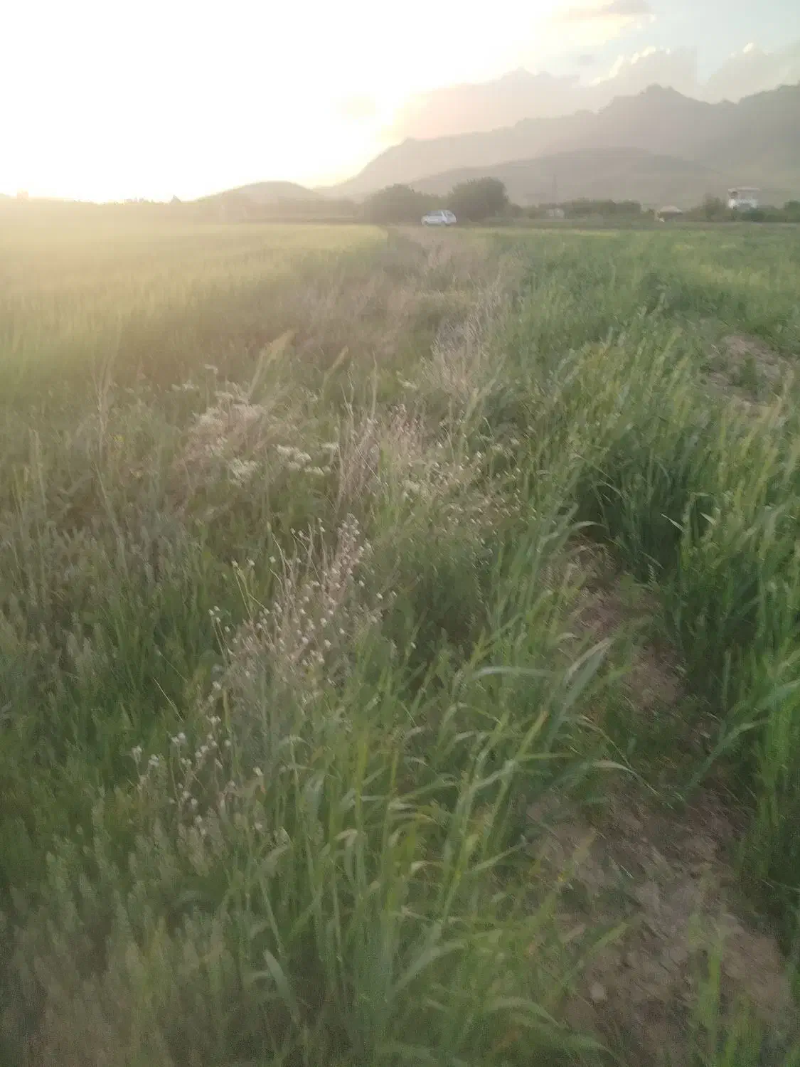زمین مسکونی  ۲۰۰متری