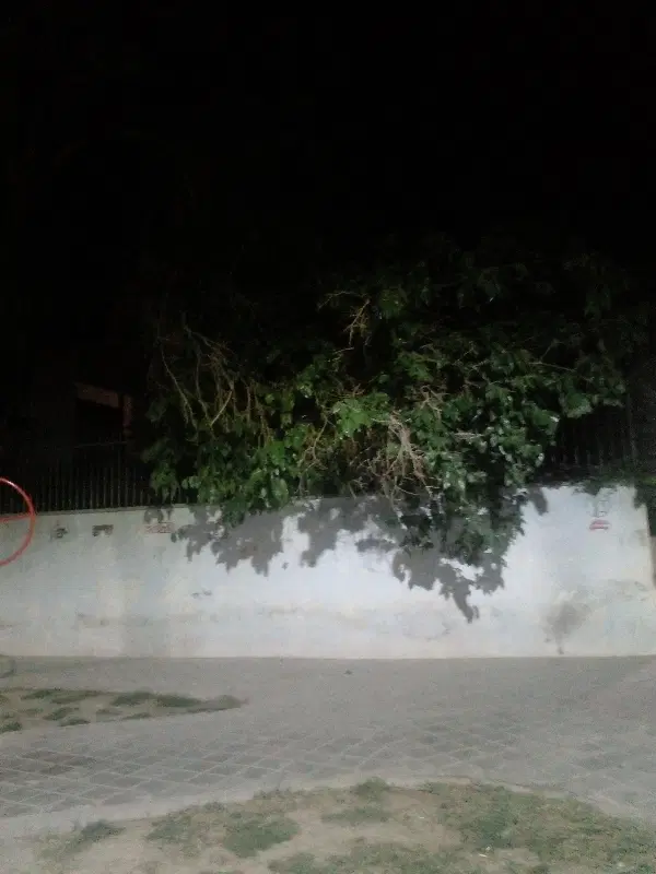 فروش ملک کلنگی با امکان ساخت ۴طبقه روی پیلوت