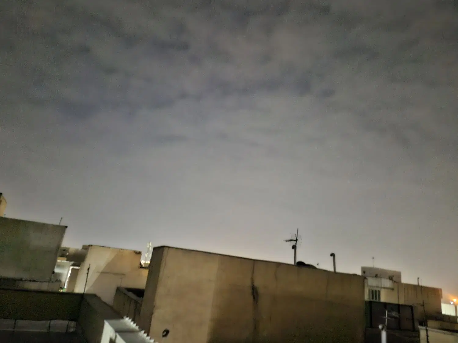 همخانه خانم موجه