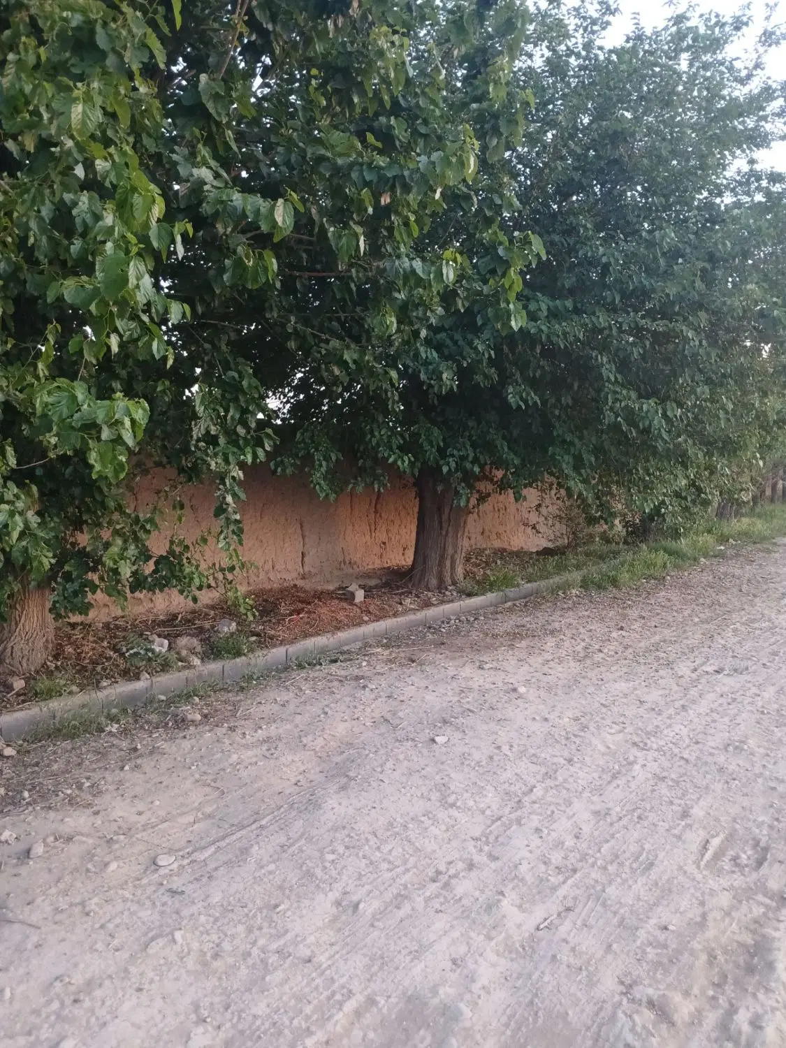 املاک