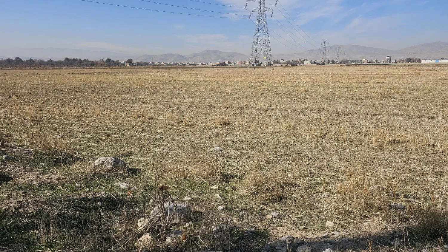 8000 متر زمین حاشیه جاده شهرک گلستان