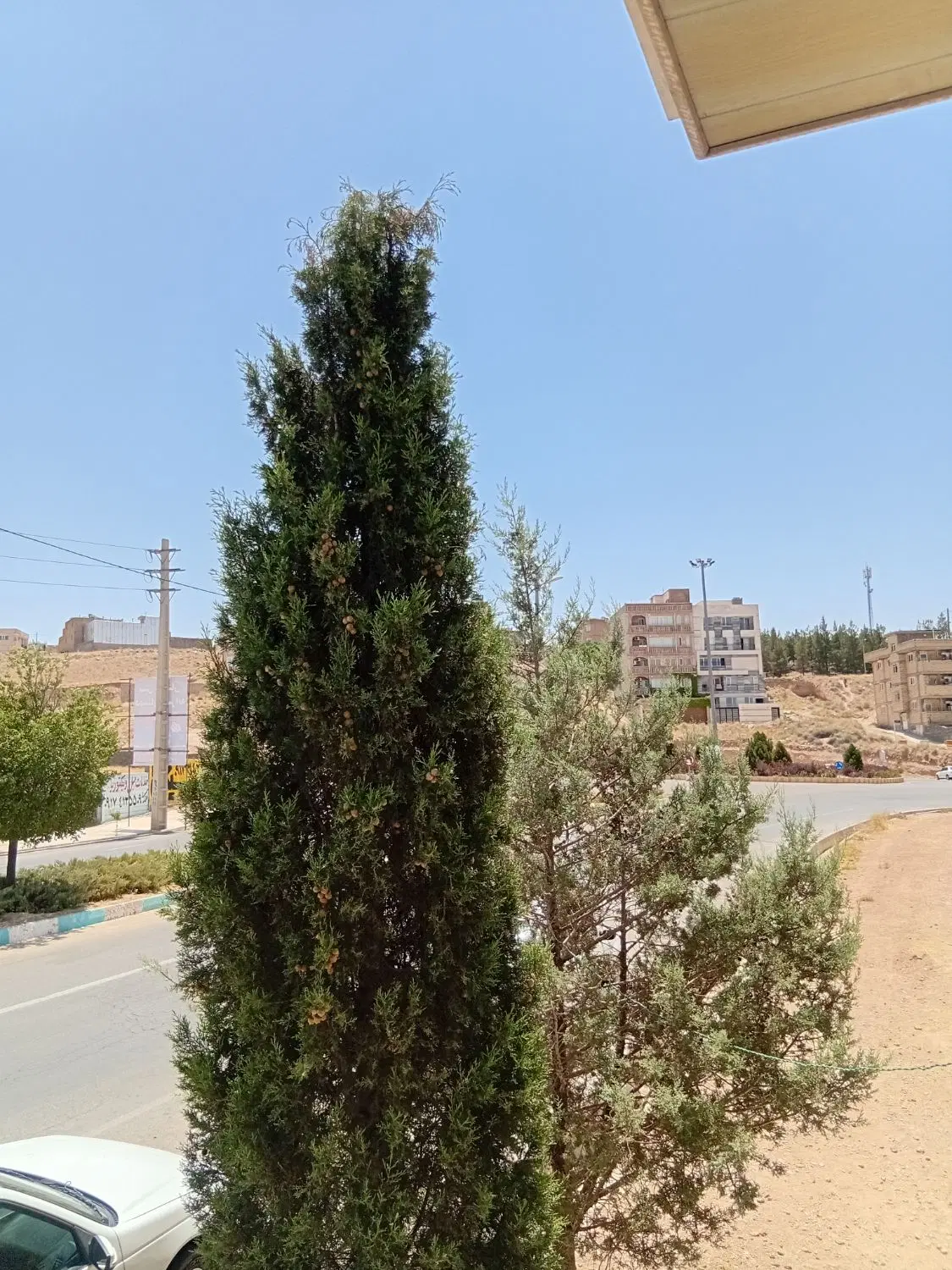 رهن واجاره منزل دوخوابه صدرافاز۲ ارتش ماهان