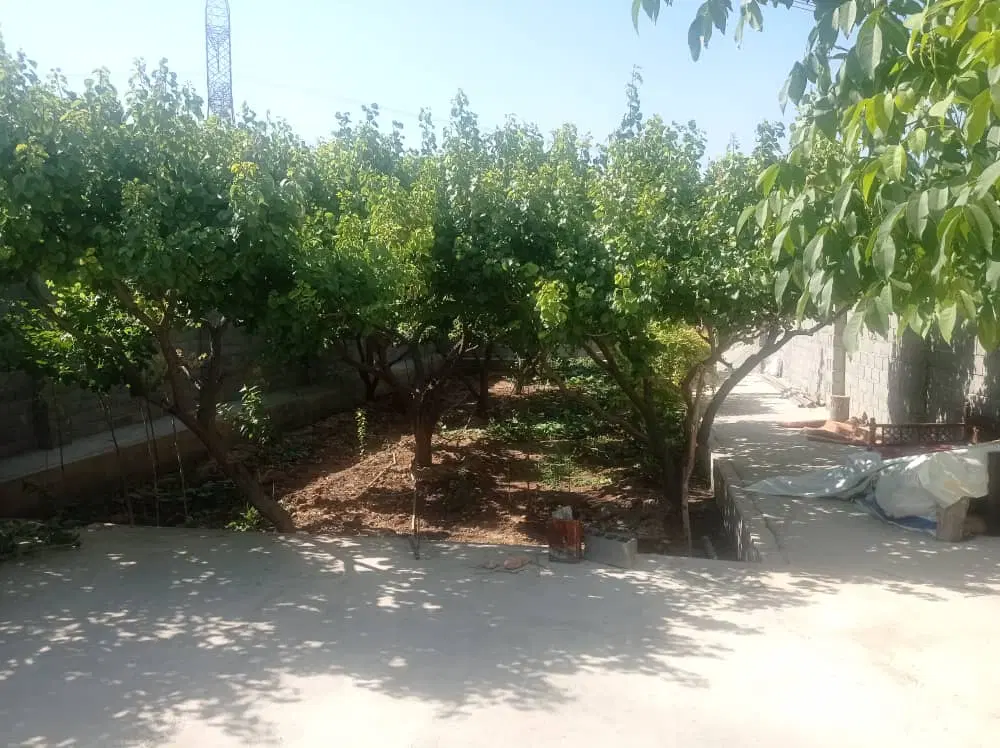 باغ‌