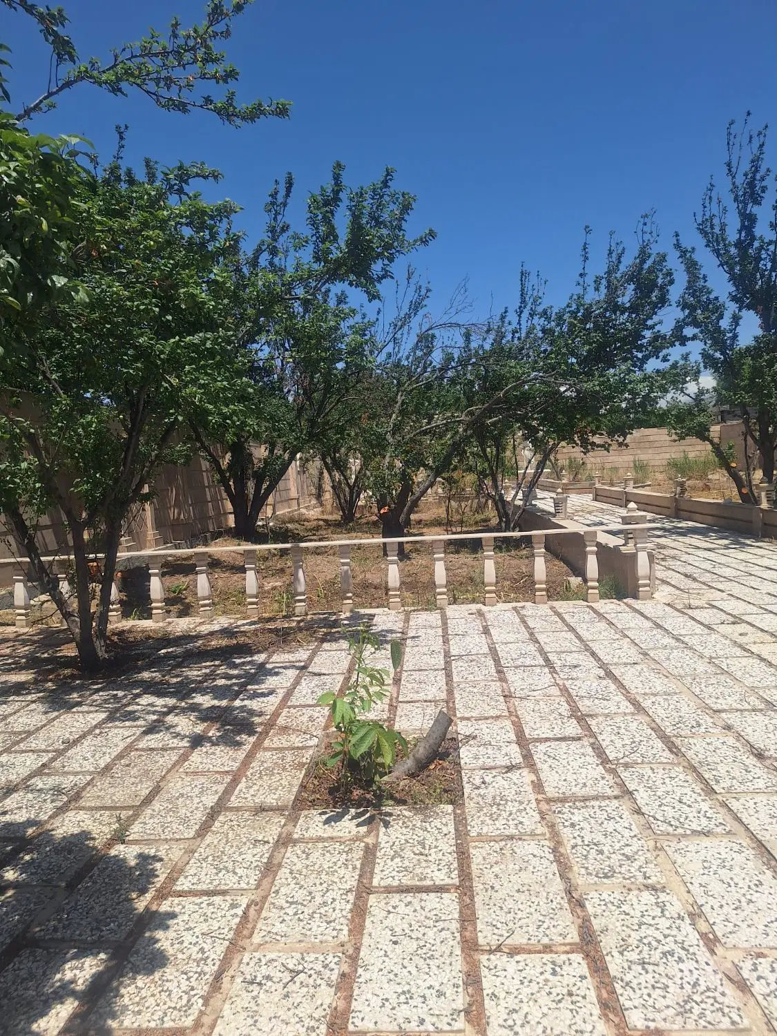 1250 متر باغچه