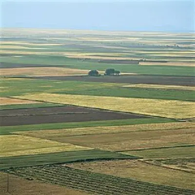 فروش زمین کشاورزی وخانه  روستایی سیاه سیاه دایار