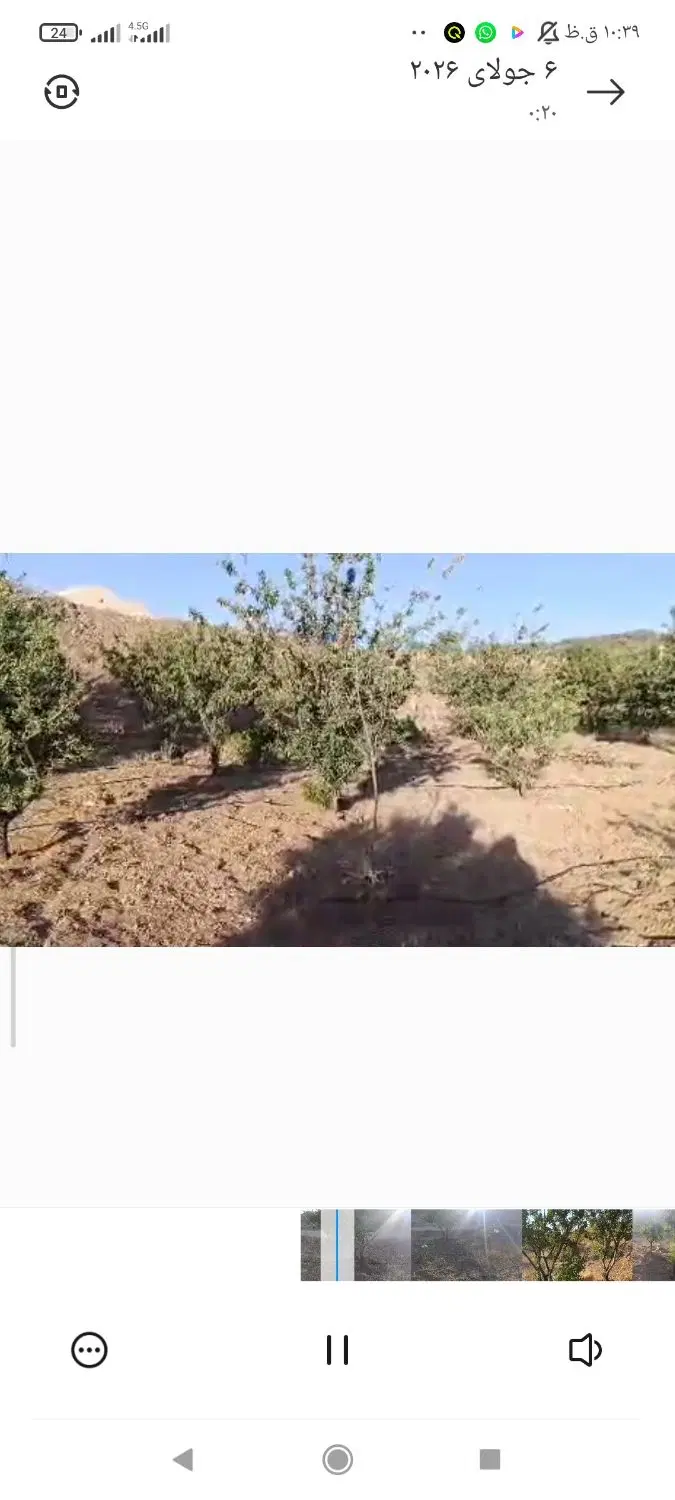 باغ شوراب صغیر