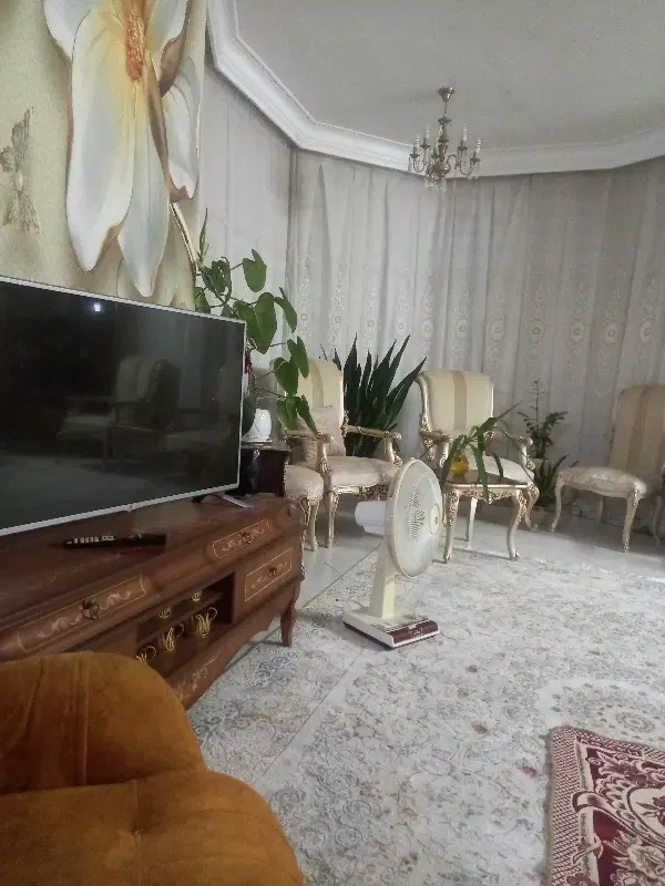 سازه نقلی سه واحد اطراف حرم امام رضا(ع)