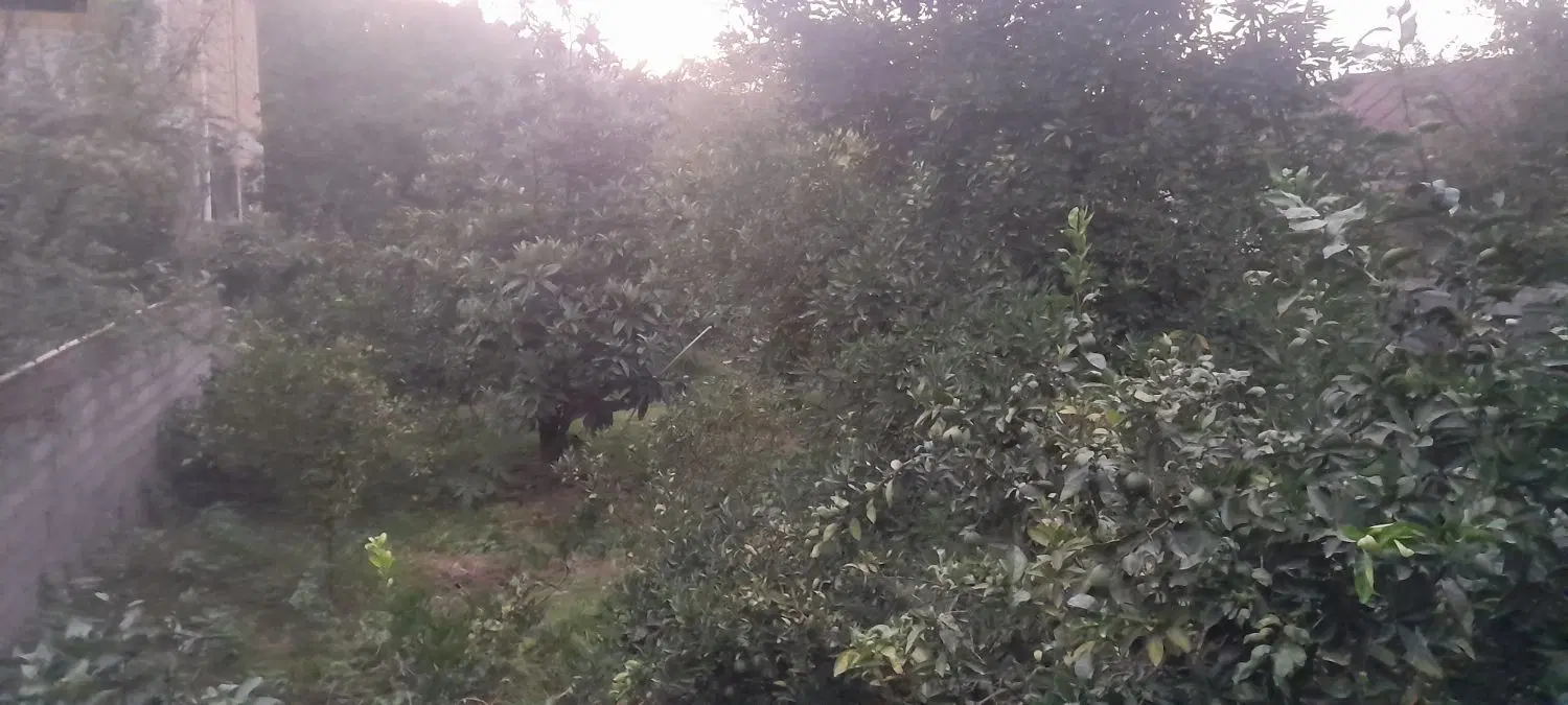 زمین ۶۰۰ متری